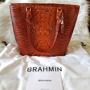Brahmin Medium Mesha